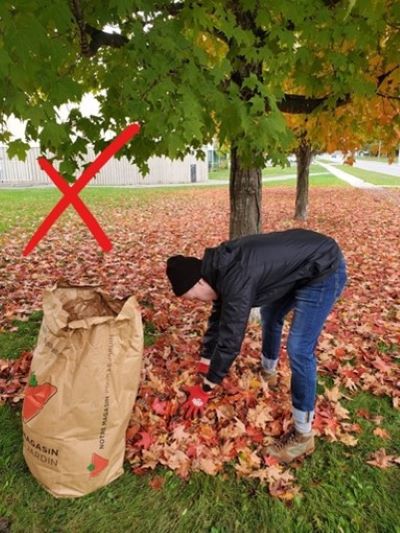 Bending at the waist to fill a leaf bag - what not to do