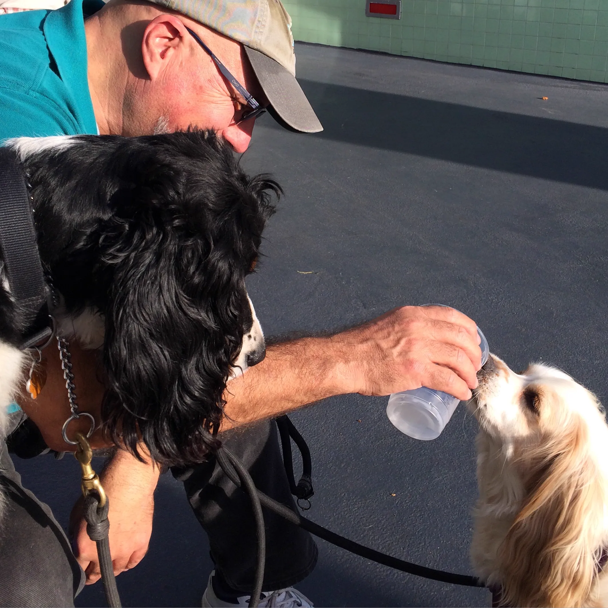 Dr. Garber with his animals
