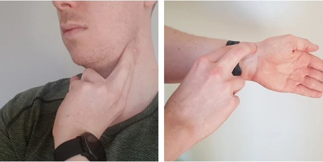 Diagram of the pulse points at the wrist and the neck