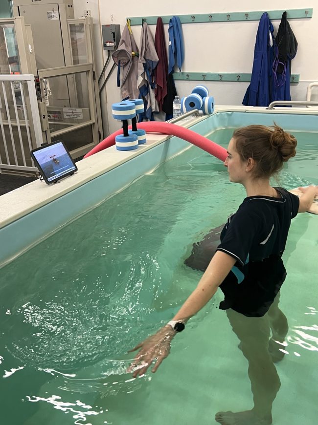 A patient exercising in a therapy pool