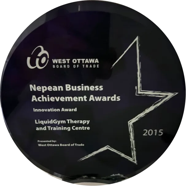 Nepean Business Achievement Award — Innovation