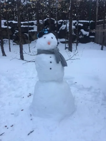 Building a snowman