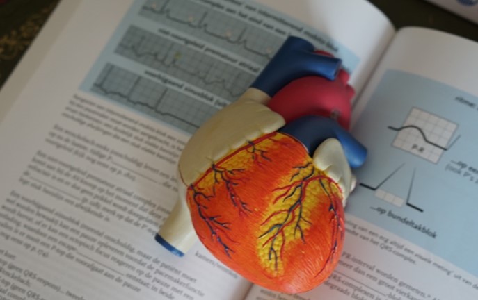 Checking a pulse at the wrist