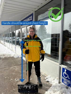 Checking shovel length: the handle should be around chest height