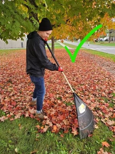 Raking with the rake held close to the body and an upright posture
