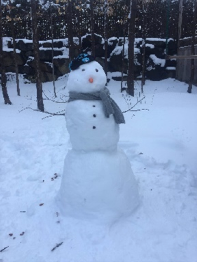 Building a snowman