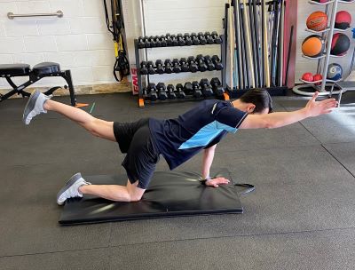 An isometric core exercise on the mat